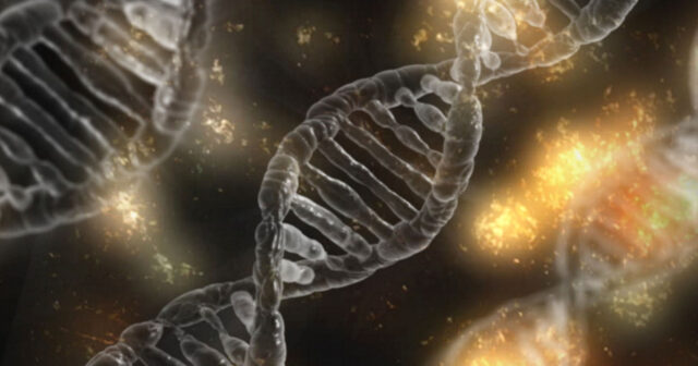 Revolutionary DNA Cards Unveiled: Store Data in Strands, Accessible to All!