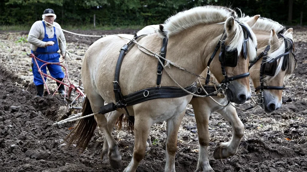 Farmer with sensors in a field monitoring crops