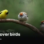 Paying hundreds for an AI bird feeder didn’t stop mice and pigeons