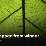 Nikon disqualifies Small World winner after AI was found in video