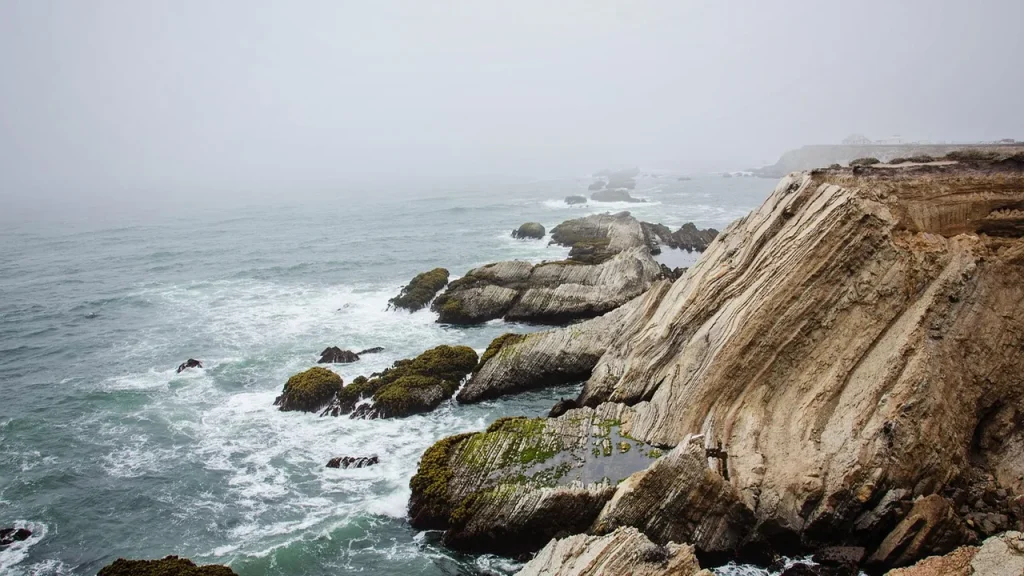 Coastal fog rolling over forested hills
