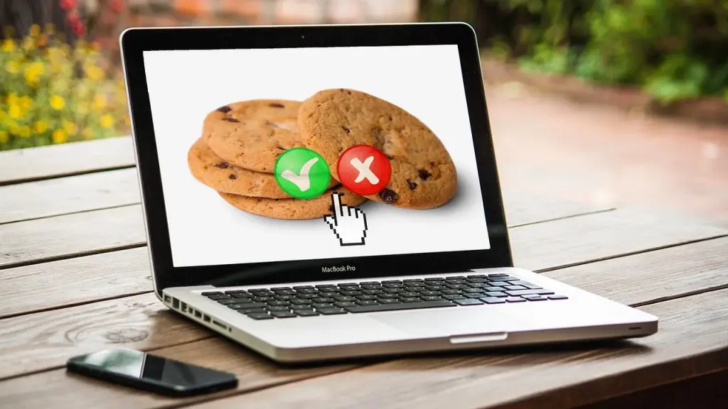 Privacy icons with a browser window