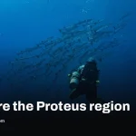 Explore Proteus in Dave the Diver’s free Subnautica crossover