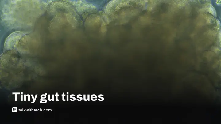 Intero Biosystems GastroScreen wins Disrupt 2026 top prize