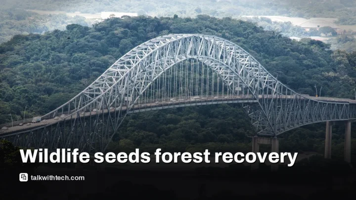 Rainforest natural regeneration can work without planting
