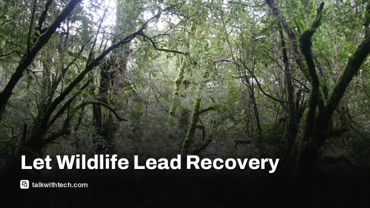 Rainforest natural regeneration can work without planting