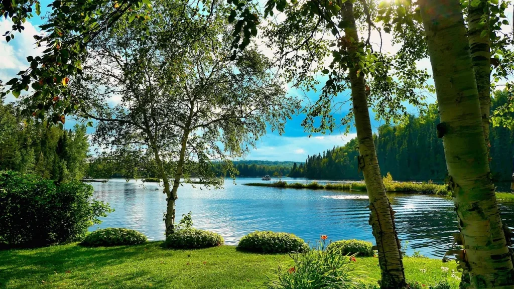 People planting trees as biodiversity measures