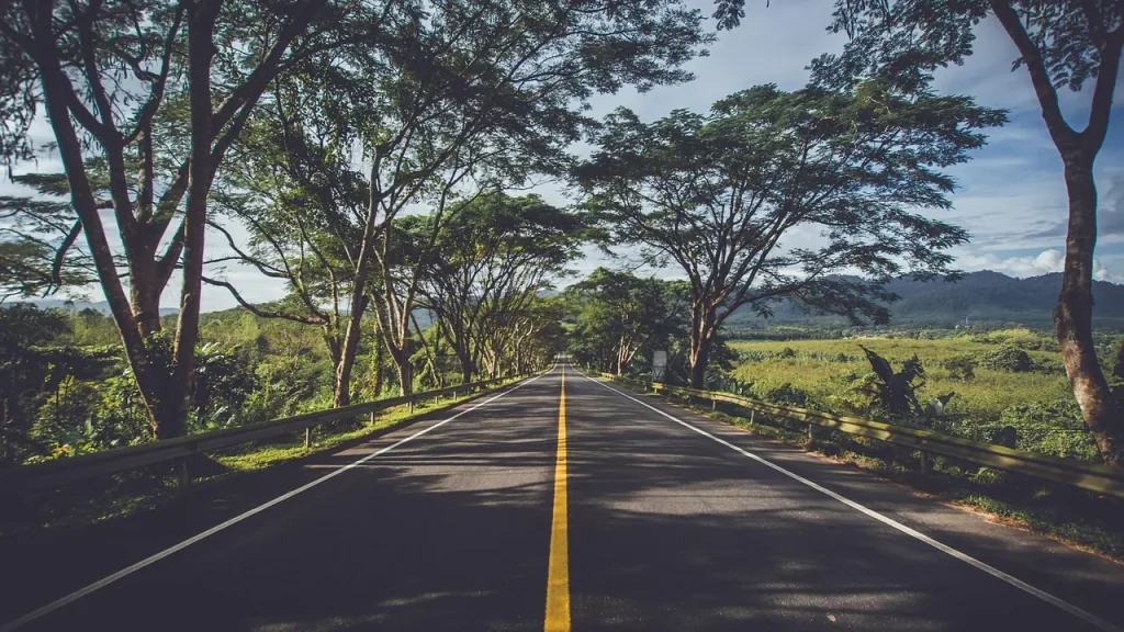 Scenic northern landscape with winding road and trees