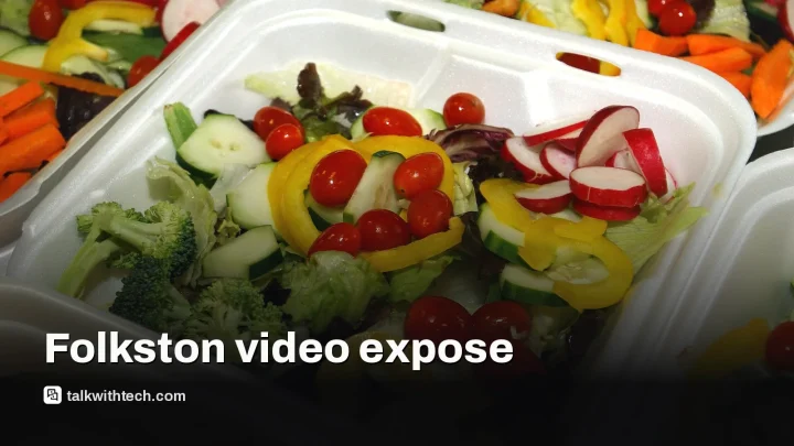 Folkston ICE detainees say costly video calls block legal help