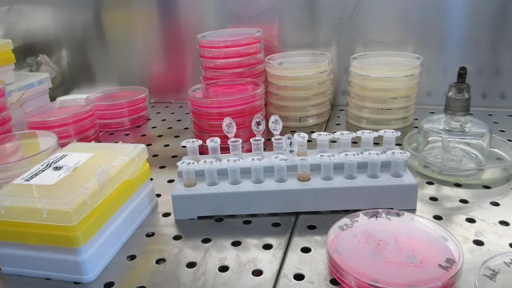 lab bench with tubes and equipment used in molecular biology