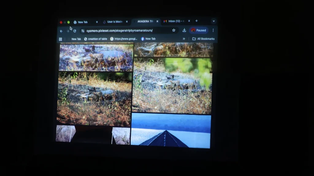 Computer screen showing leaked game footage