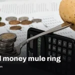 15,000 U.S. money mules funneled cybercrime cash through Western Union