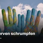 IMF World Economic Outlook 2026 warnt: Ölreserven schwinden