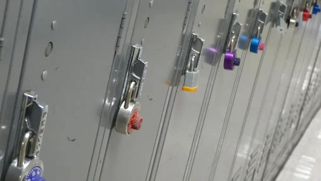 Security cabinet with backups and locks