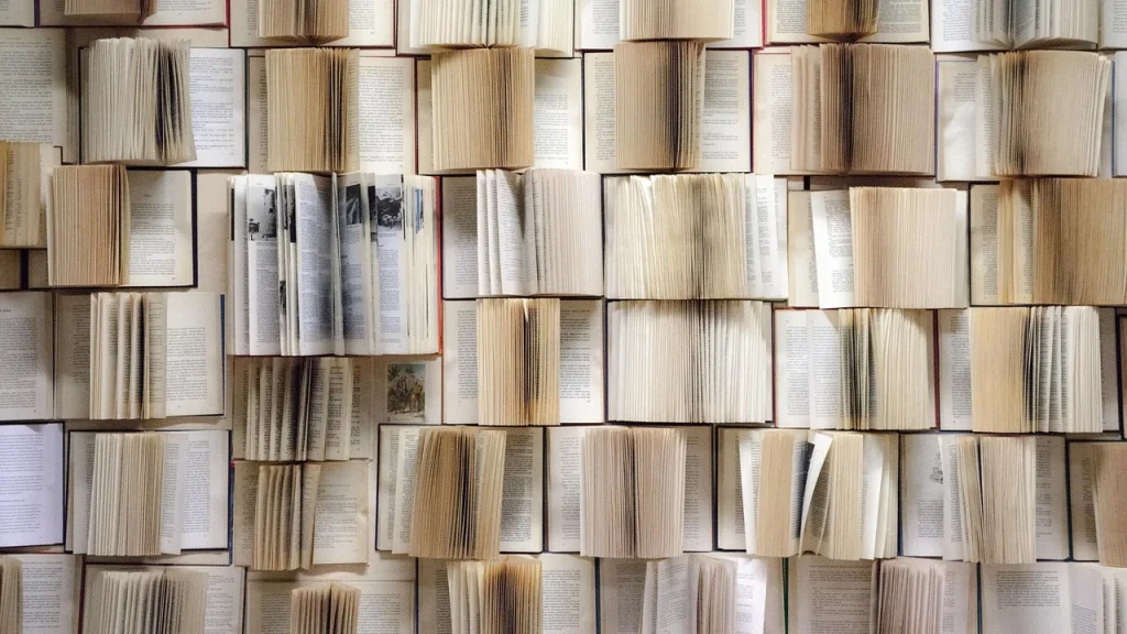 A small, neatly organized physical media collection at home