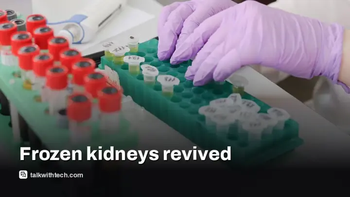 Pig kidneys revived after a year in cold storage, a sign cryopreservation could reshape transplants