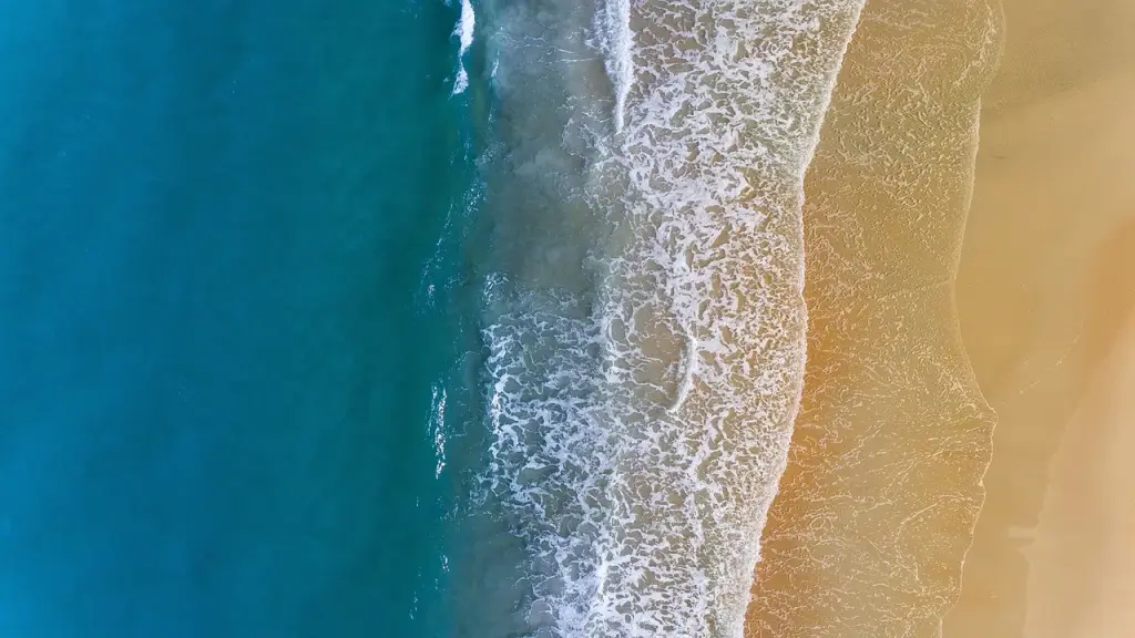 Shoreline with visible erosion and shifting sand