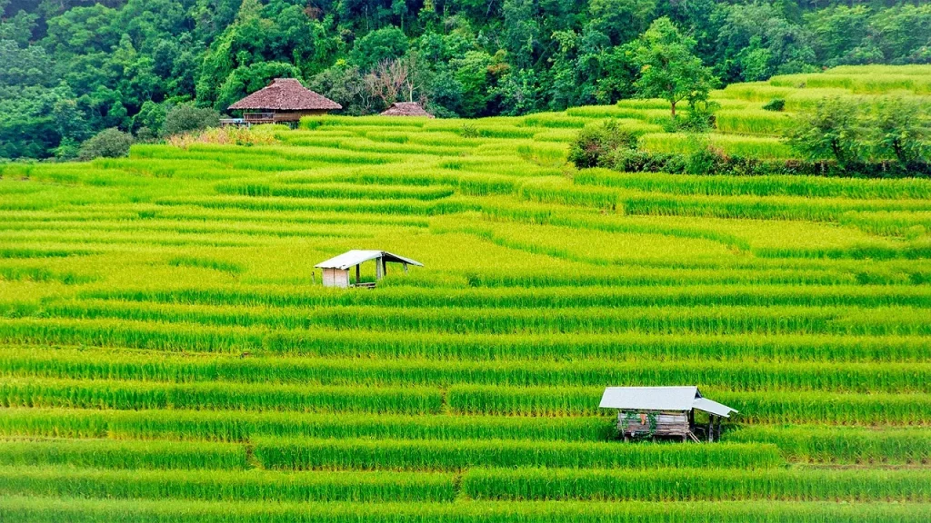 Flooded farmland and waterways in Thailand