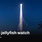 SpaceX space jellyfish may return Tuesday: when and where to look