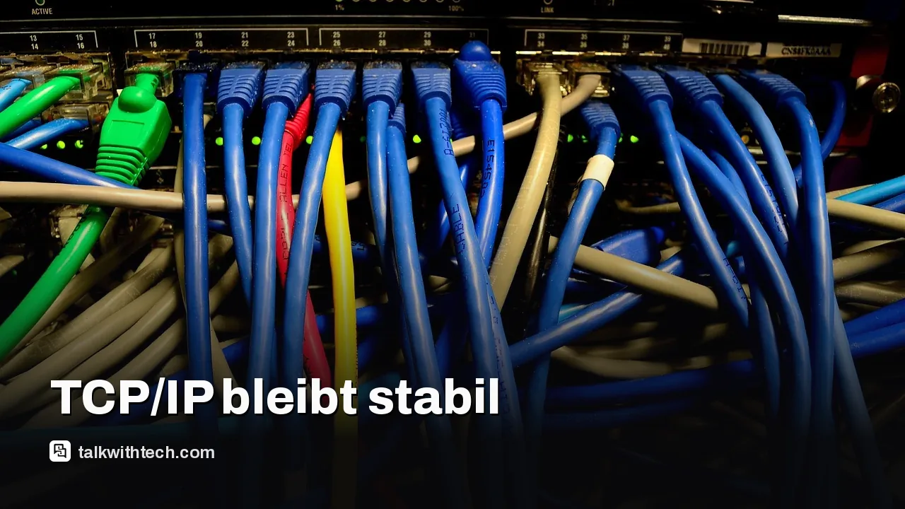 Nahaufnahme von Netzwerkkabeln und einem Server-Rack in einem Rechenzentrum