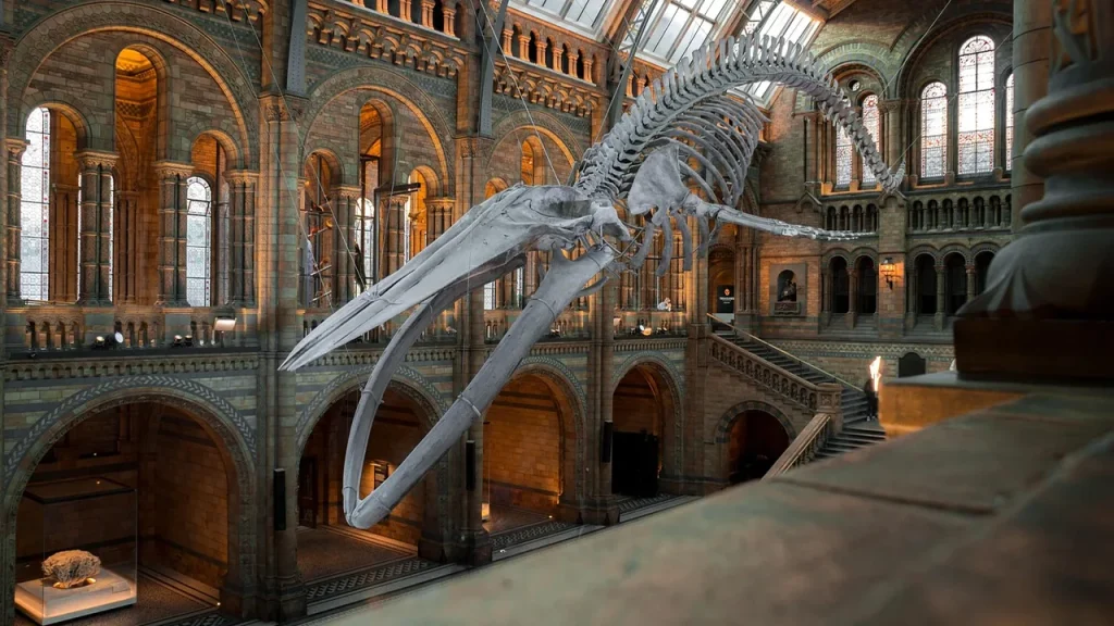 Visitors viewing wildlife photographs at the Natural History Museum exhibition.