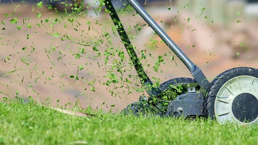 Close-up of a mower cutting along the edge of a lawn