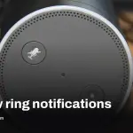 Alexa yellow ring meaning and how to stop unwanted interruptions